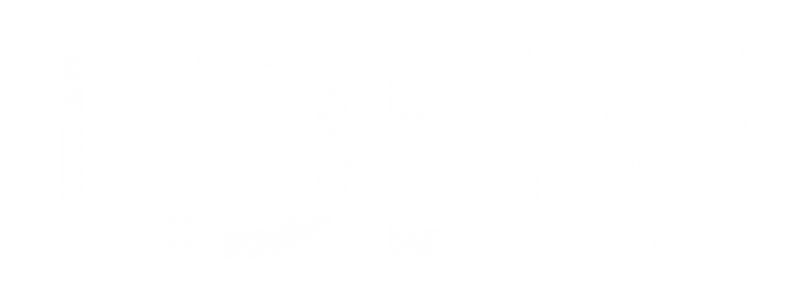 Logo secondaire de DSV Solutions en blanc