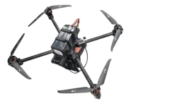 K19-1
